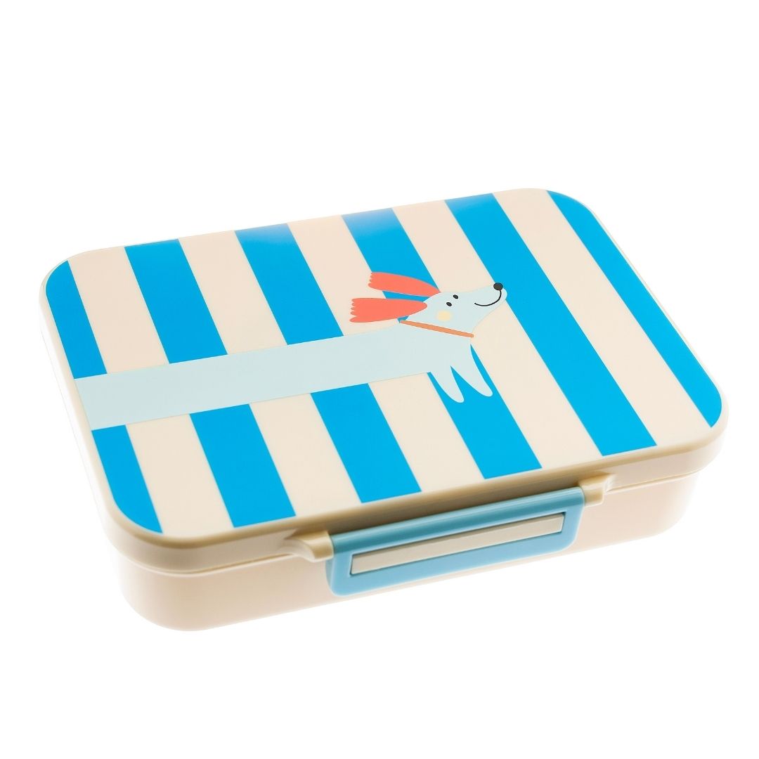 lunchbox met vakjes