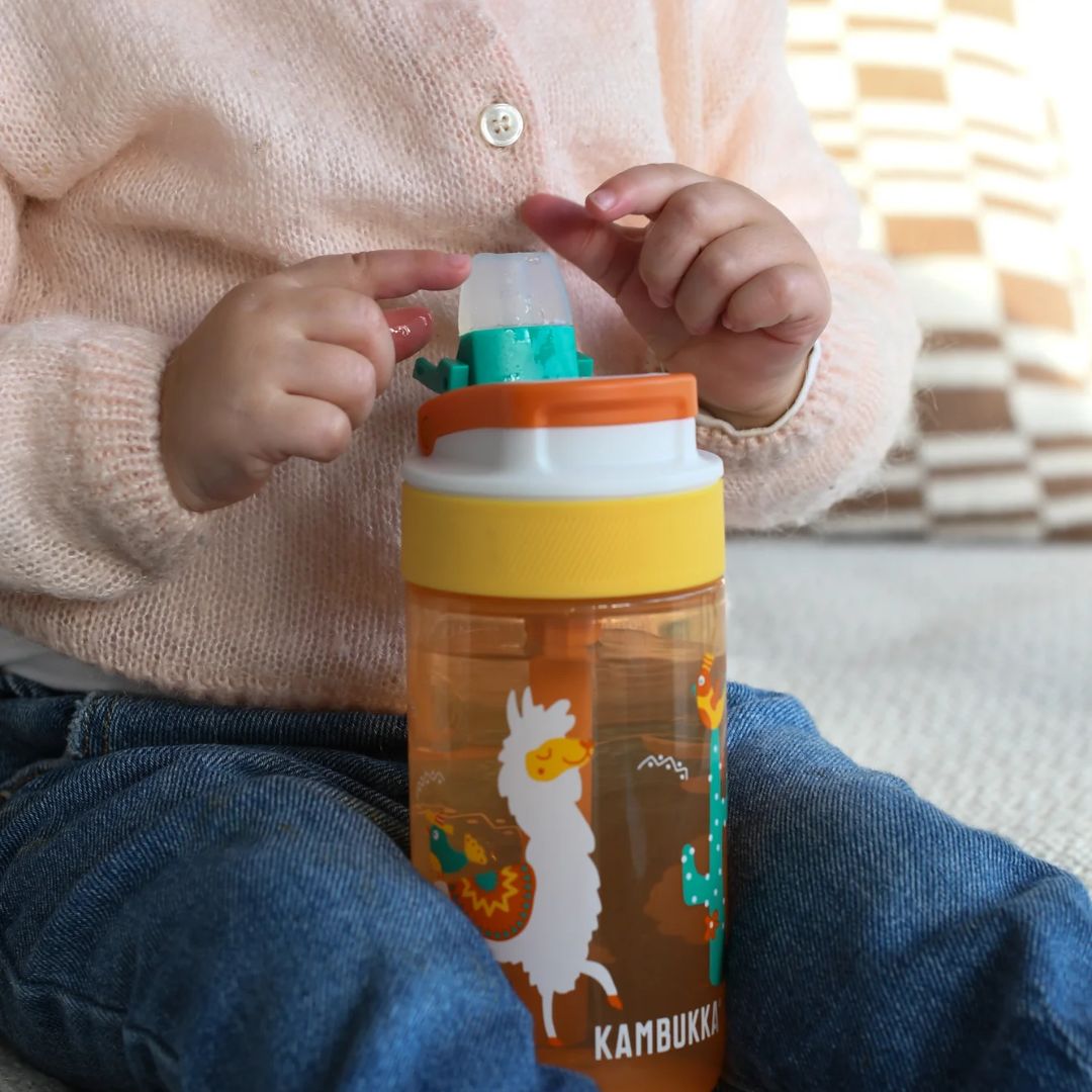Drinkfles Kambukka Lagoon Mexican Parade 400 ml