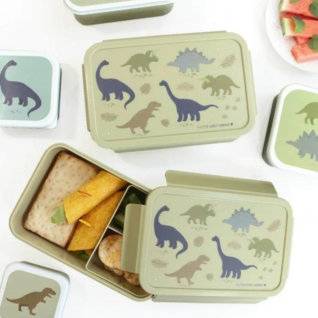 brooddoos met vakjes dino