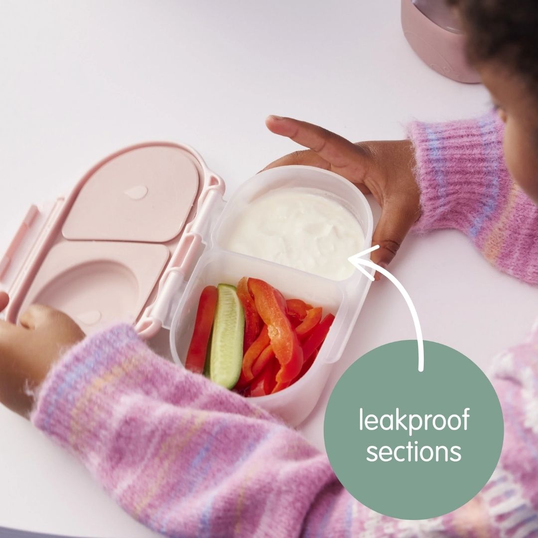 bento snackbox B.Box