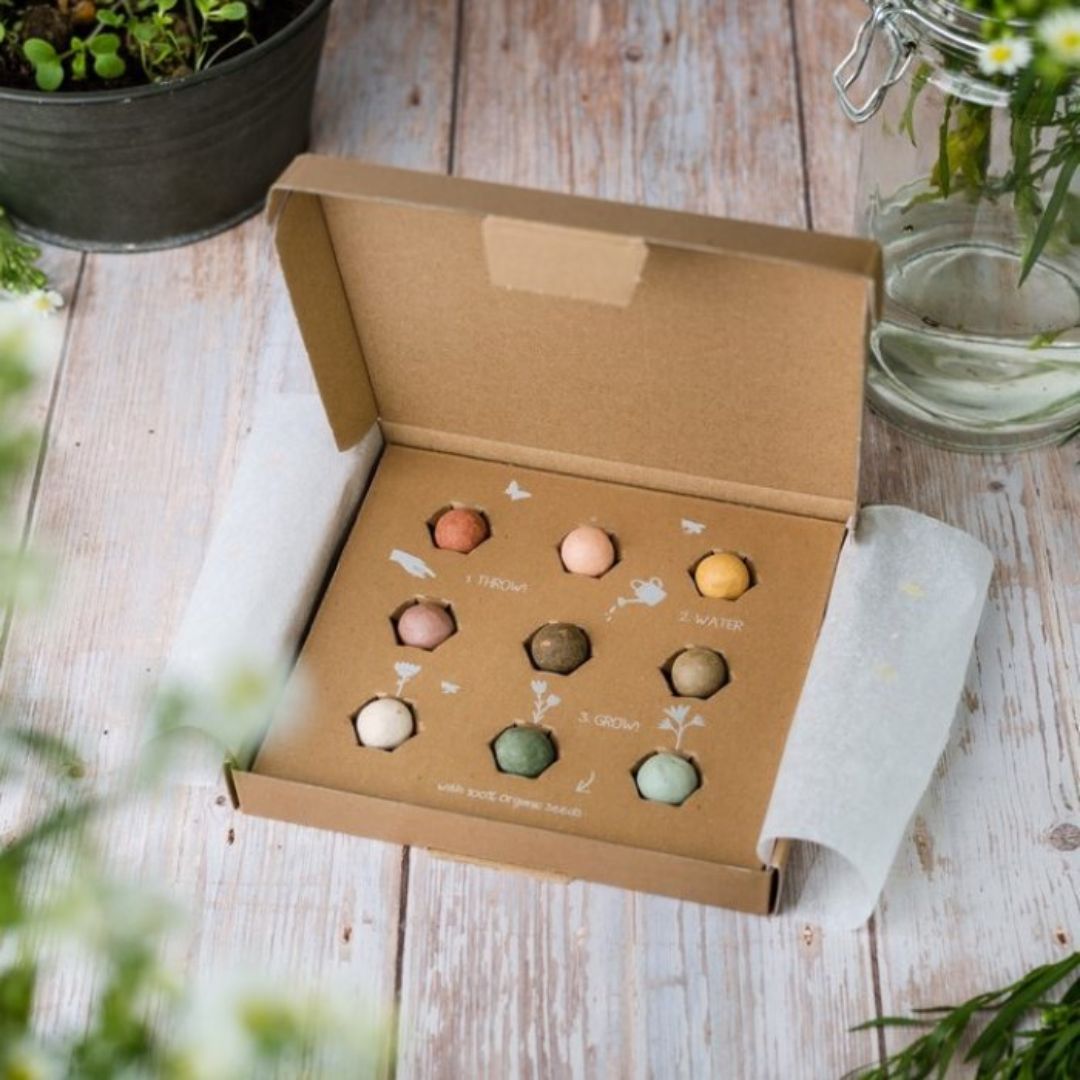 Moederdagcadeau bloembollen blossombs
