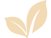 Schooltijd logo